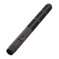 STEREO SHOTGUN RF CONDENSER MICROPHONE WITH THREE SWITCHABLE STEREO-MODES: MS, XY-NARROW, & XY-WIDE